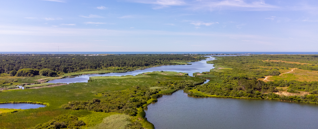 Lost Pond Conservation Land — Nantucket